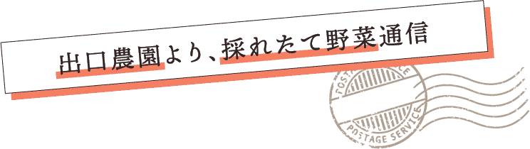 出口農園より、採れたて野菜通信