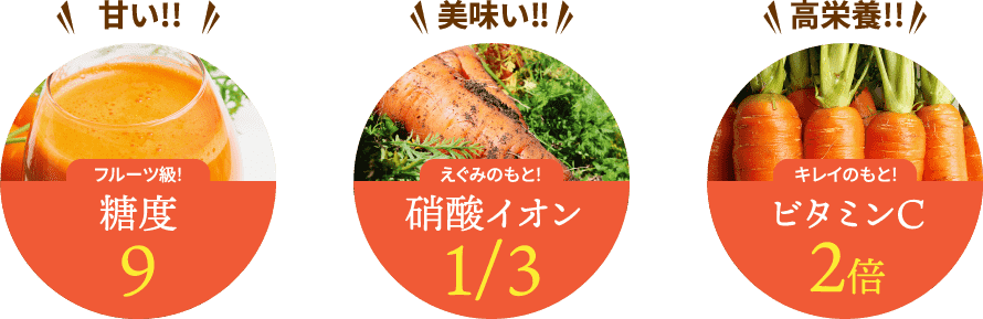 甘い！美味い！高栄養！