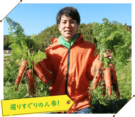 選りすぐりの人参！
