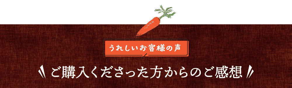 うれしいお客様の声ご購入くださった方からのご感想