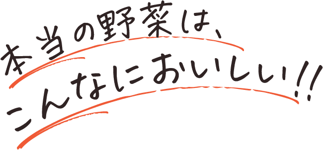 本当の野菜はこんなにおいしい!!